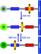 Graphical abstract: Light-driven molecular shuttles modified on silicon nanowires