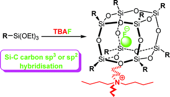 Graphical abstract: Further studies of fluoride ion entrapment in octasilsesquioxane cages; X-ray crystal structure studies and factors that affect their formation