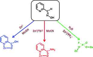 Graphical abstract: Metal ion-assisted transformations of 2-pyridinealdoxime and hexafluorophosphate