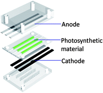 Graphical abstract: Quantitative analysis of the factors limiting solar power transduction by Synechocystis sp. PCC 6803 in biological photovoltaic devices