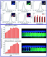 Graphical abstract: An effective modified method to prepare highly luminescent, highly stable water-soluble quantum dots and its preliminary application in immunoassay