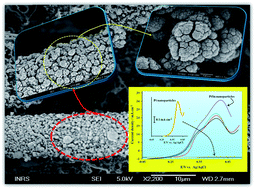 Graphical abstract: 3D hierarchical cauliflower-like carbon nanotubes/platinum–tin nanostructure and its electrocatalytic activity for ethanol oxidation