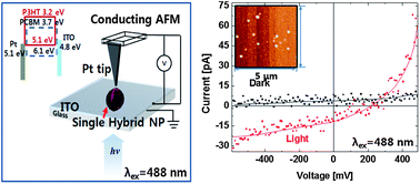 Graphical abstract: Single nanoparticle of organic p-type and n-type hybrid materials: nanoscale phase separation and photovoltaic effect
