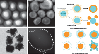 Graphical abstract: Structure, optical and magnetic properties of Ni@Au and Au@Ni nanoparticles synthesized via non-aqueous approaches