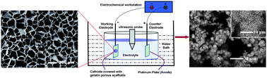 Graphical abstract: Rapid mineralization of porous gelatin scaffolds by electrodeposition for bone tissue engineering