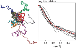 Graphical abstract: Structural analysis of intrinsically disordered proteins by small-angle X-ray scattering