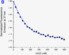 Graphical abstract: Analysis of the Fragile X mental retardation protein isoforms 1, 2 and 3 interactions with the G-quadruplex forming semaphorin 3F mRNA