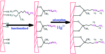 Graphical abstract: Adsorption of Hg2+ from aqueous solution on functionalized MCM-41