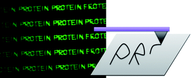 Graphical abstract: Site specific protein immobilization into structured polymer brushes prepared by AFM lithography