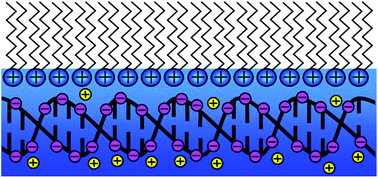 Graphical abstract: Physical–chemical characterization of novel cationic transfection lipids and the binding of model DNA at the air–water interface