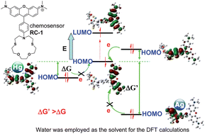 Graphical abstract: Enhanced fluorescent chemosensor for Ag+ in absolute aqueous solution and living cells: An experimental and theoretical study