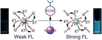Graphical abstract: A new continuous fluorometric assay for acetylcholinesterase activity and inhibitor screening with emissive core–shell silica particles containing tetraphenylethylene fluorophore