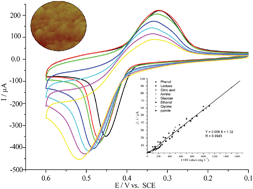 Graphical abstract: A nano-nickel electrochemical sensor for sensitive determination of chemical oxygen demand