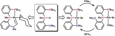 Graphical abstract: ‘Hemilabile’ silyl pincer ligation: platinum group PSiN complexes and triple C–H activation to form a (PSiC)Ru carbene complex