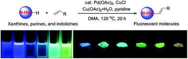 Graphical abstract: Dehydrogenative Heck coupling of biologically relevant N-heteroarenes with alkenes: discovery of fluorescent core frameworks