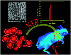 Graphical abstract: Aqueous one-pot synthesis of bright and ultrasmall CdTe/CdS near-infrared-emitting quantum dots and their application for tumor targeting in vivo