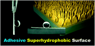 Graphical abstract: Titanate nanofunnel brushes: toward functional interfacial applications
