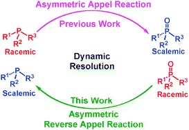 Graphical abstract: Identification of a key intermediate in the asymmetric Appel process: one pot stereoselective synthesis of P-stereogenic phosphines and phosphine boranes from racemic phosphine oxides