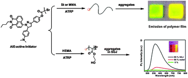 Graphical abstract: Initiator-lightened polymers: preparation of end-functionalized polymers by ATRP and their intramolecular charge transfer and aggregation-induced emission