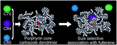 Graphical abstract: A fourth-generation carbazole–phenylazomethine dendrimer as a size-selective host for fullerenes