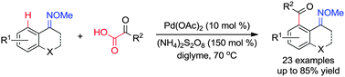 Graphical abstract: Palladium-catalyzed decarboxylative acylation of O-methyl ketoximes with α-keto acids