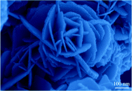 Graphical abstract: Hierarchical flower-like Fe3O4 and γ–Fe2O3 nanostructures: Synthesis, growth mechanism and photocatalytic properties