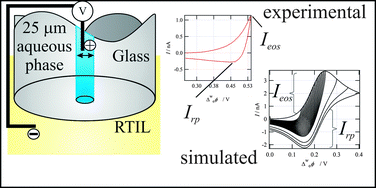 Graphical abstract: Facile determination of formal transfer potentials for hydrophilic alkali metal ions at water|ionic liquid microinterfaces