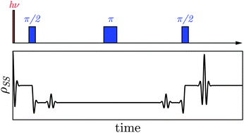 Graphical abstract: Theory of pulsed reaction yield detected magnetic resonance