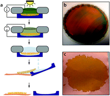 Graphical abstract: Nanoporous silicon networks as anodes for lithium ion batteries