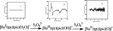 Graphical abstract: Peroxydisulfate activation by [RuII(tpy)(pic)(H2O)]+. Kinetic, mechanistic and anti-microbial activity studies