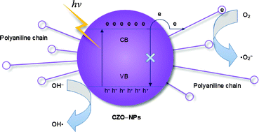 Graphical abstract: Preparation and antibacterial activities of polyaniline/Cu0.05Zn0.95O nanocomposites
