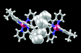 Graphical abstract: 2,2′:6′,2′′-Terpyridine substituted in the 4′-position by the solubilizing and sterically demanding tert-butyl group: a surprisingly new ligand