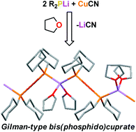 Graphical abstract: Expanding the tools available for direct ortho cupration – targeting lithium phosphidocuprates