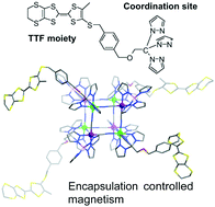 Graphical abstract: Encapsulation controlled single molecule magnetism in tetrathiafulvalene-capped cyanide-bridged cubes