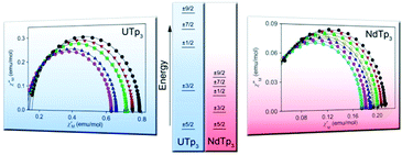 Graphical abstract: Slow magnetic relaxation in homoleptic trispyrazolylborate complexes of neodymium(iii) and uranium(iii)
