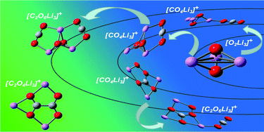 Graphical abstract: Prediction and characterization of novel polynuclear superalkali cations