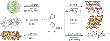 Graphical abstract: Lanthanide coordination polymers based on 5-(2′-carboxylphenyl) nicotinate: syntheses, structure diversity, dehydration/hydration, luminescence and magnetic properties