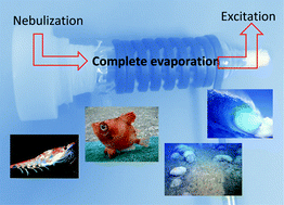 Graphical abstract: Improving the analytical performances of ICP-AES by using a high-temperature single-pass spray chamber and segmented-injections micro-sample introduction for the analysis of environmental samples