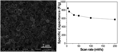 Graphical abstract: Polyaniline nanotube arrays as high-performance flexible electrodes for electrochemical energy storage devices