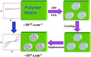 Graphical abstract: Conducting nano-channels in an induced piezoelectric polymeric matrix using swift heavy ions and subsequent functionalization