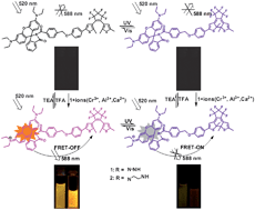 Graphical abstract: Multi-addressable molecular switches based on photochromic diarylethenes bearing a rhodamine unit