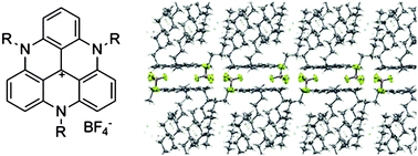 Graphical abstract: Large area, soft crystalline thin films of N,N′,N′′-trialkyltriazatriangulenium salts with homeotropic alignment of the discotic cores in a lamellar lattice