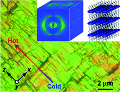 Graphical abstract: The biaxial lamello-columnar liquid crystalline structure of a tetrathiafulvalene sanidic molecule