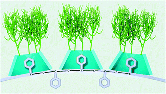 Graphical abstract: Fully supramolecular vesicles as anticancer drug delivery systems