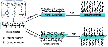 Graphical abstract: A versatile macro-initiator with dual functional anchoring groups for surface-initiated atom transfer radical polymerization on various substrates