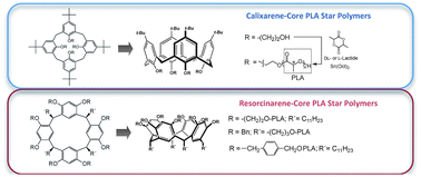 Graphical abstract: Synthesis and characterization of multi-armed calixarene- and resorcinarene-core polylactide star polymers
