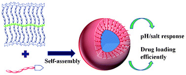 Graphical abstract: Salt/pH dual-responsive supramolecular brush copolymer micelles with molecular recognition of nucleobases for drug delivery