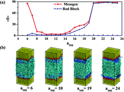 Graphical abstract: A computer simulation study of the anchoring transitions driven by rod–coil amphiphiles at aqueous–liquid crystal interfaces