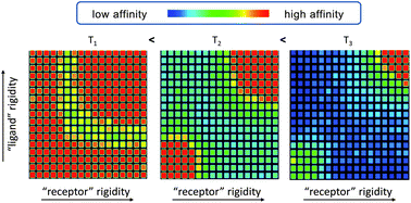 Graphical abstract: The fundamental role of flexibility on the strength of molecular binding