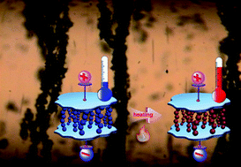 Graphical abstract: Dipolar-molecule complexed chitosan carboxylate, phosphate, and sulphate dispersed electrorheological suspensions